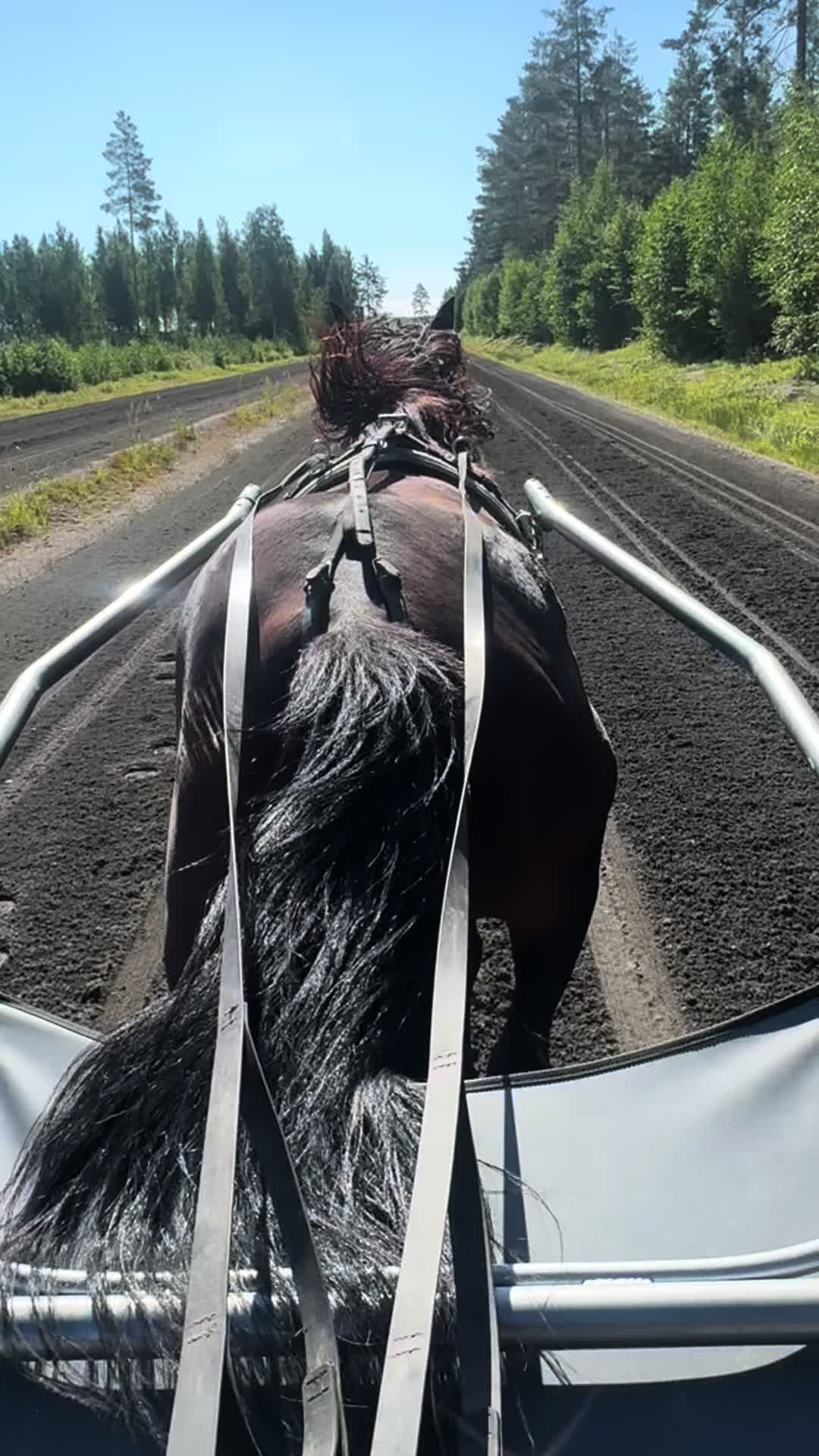 @Rakkautta ja raviurheilua