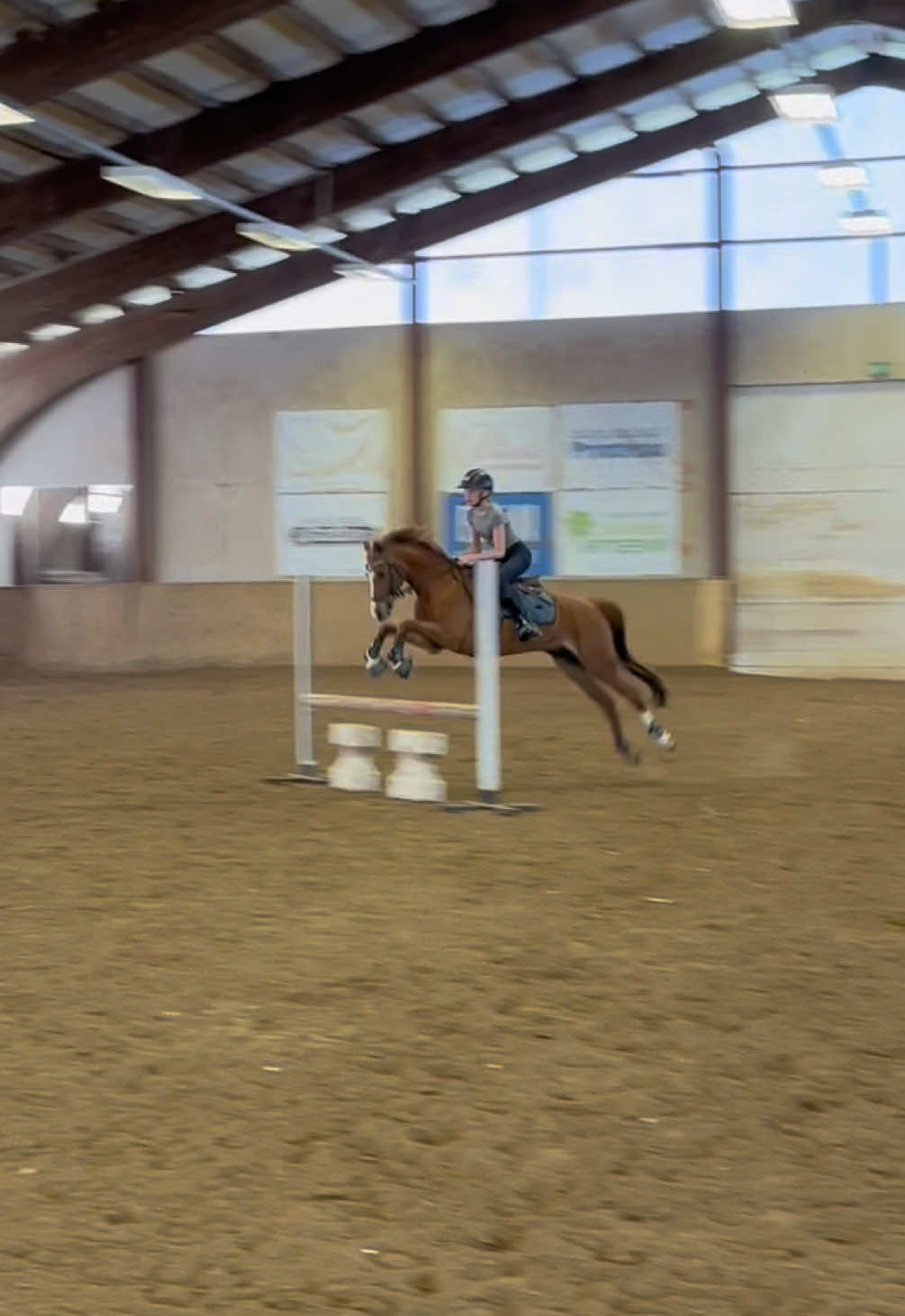 @Equestrian_tiiaa