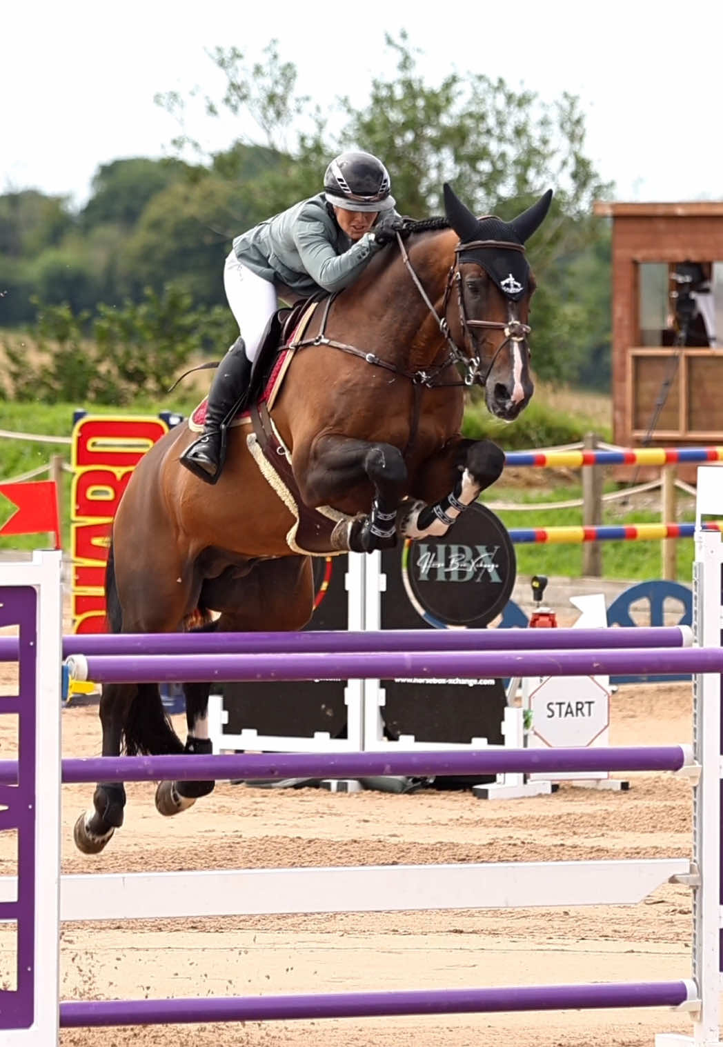 @Lucy Struthers Horses