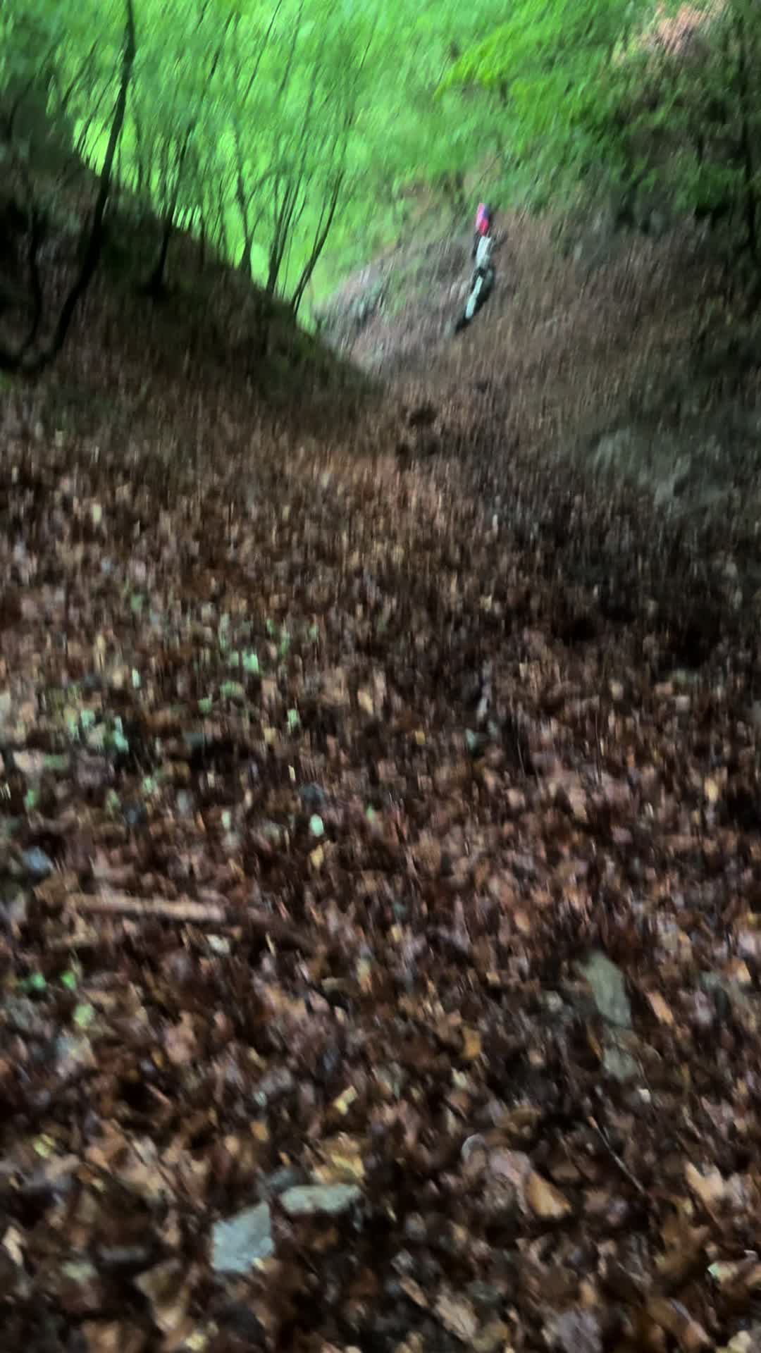 @moto.enduro