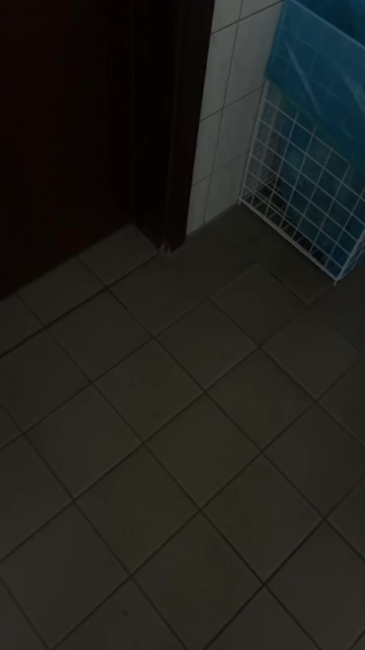 @ari_ht201