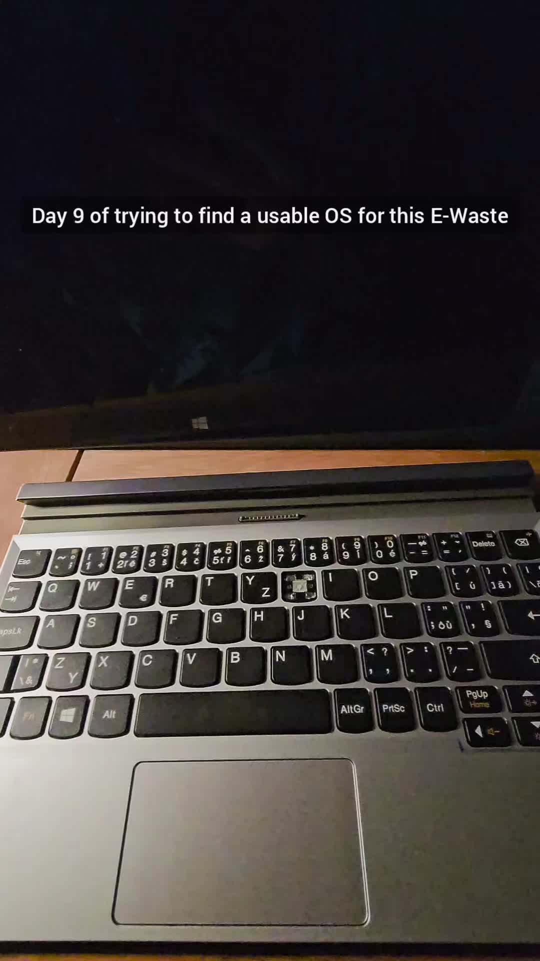 @Qpoda