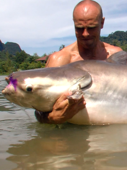 @Fishing TV