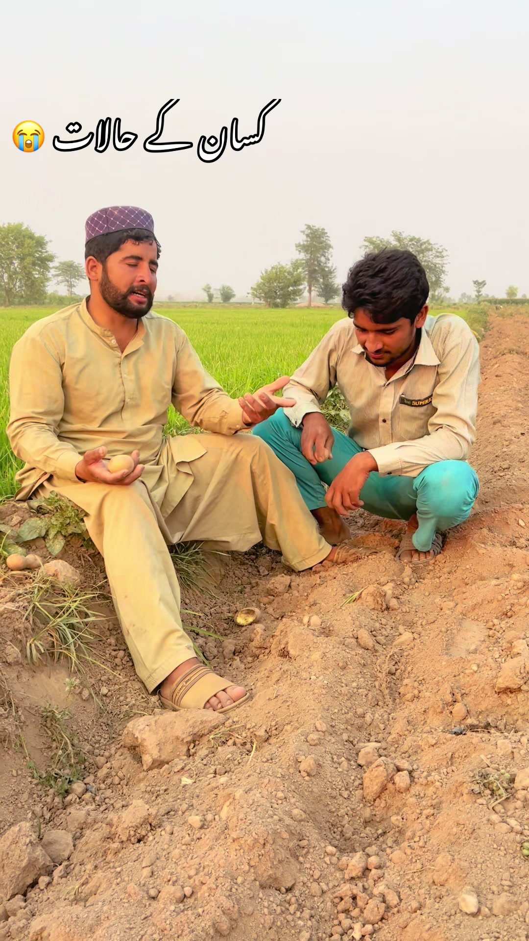 @پینڈو بوائز 378