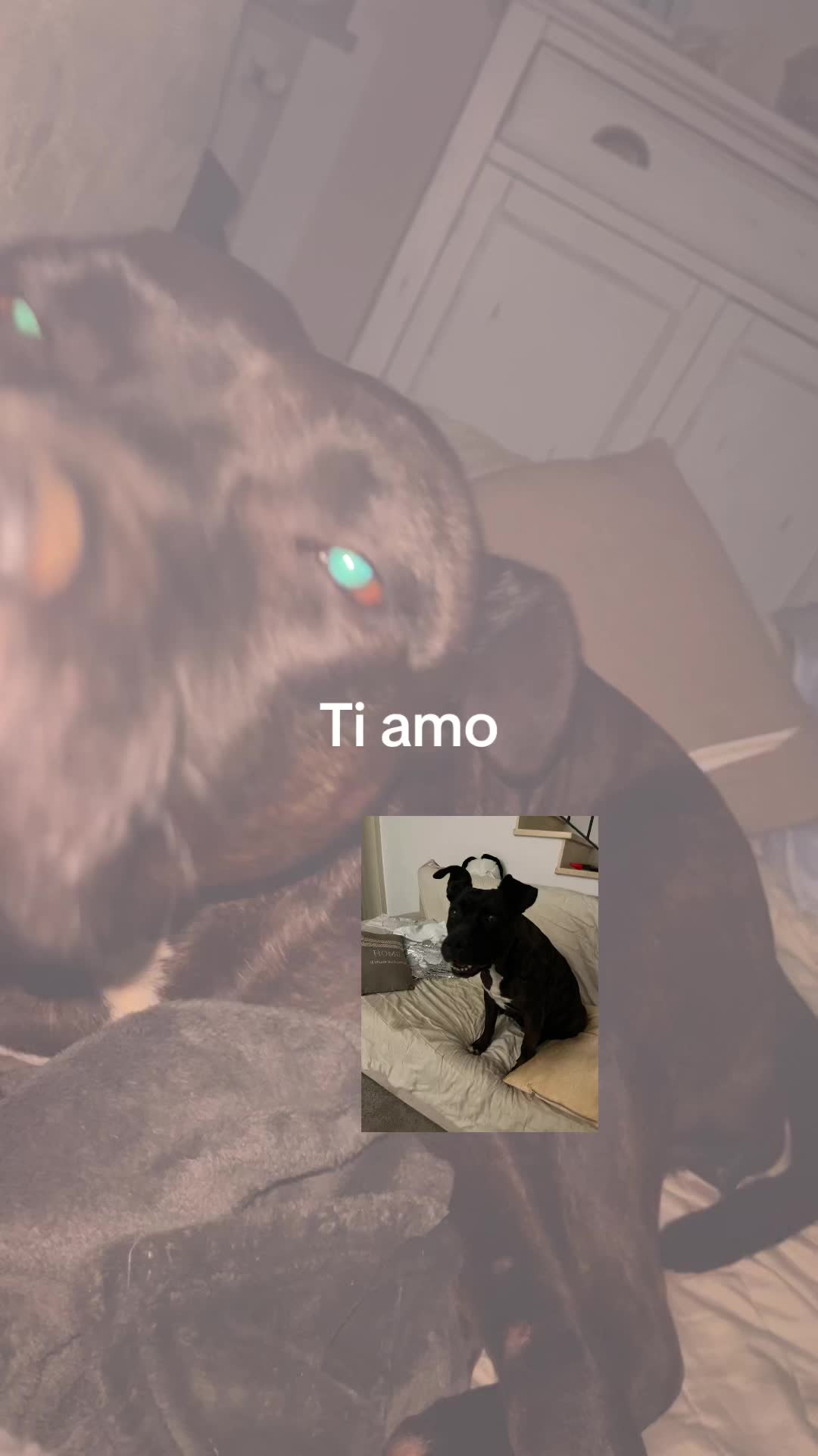@Mary🧸🎧