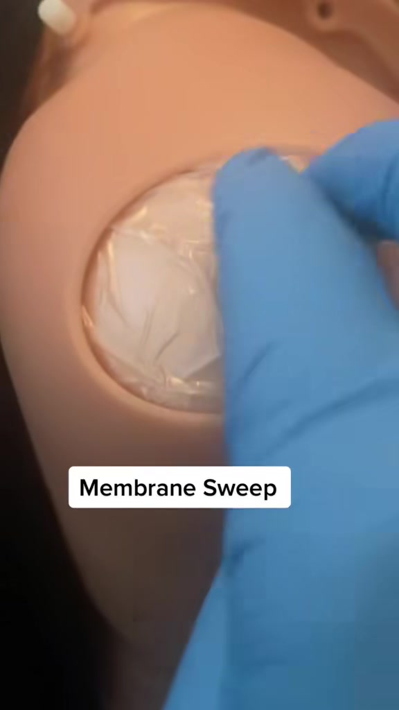 @MidwifeMama