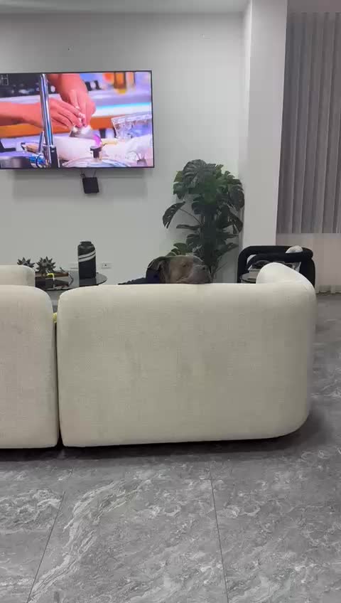 @Moncho_na_na