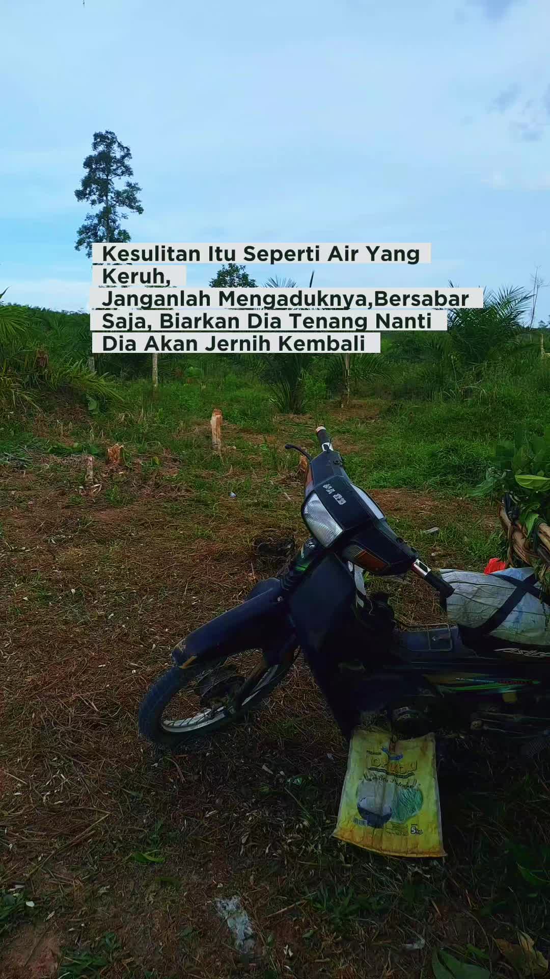 @elsa&hanan