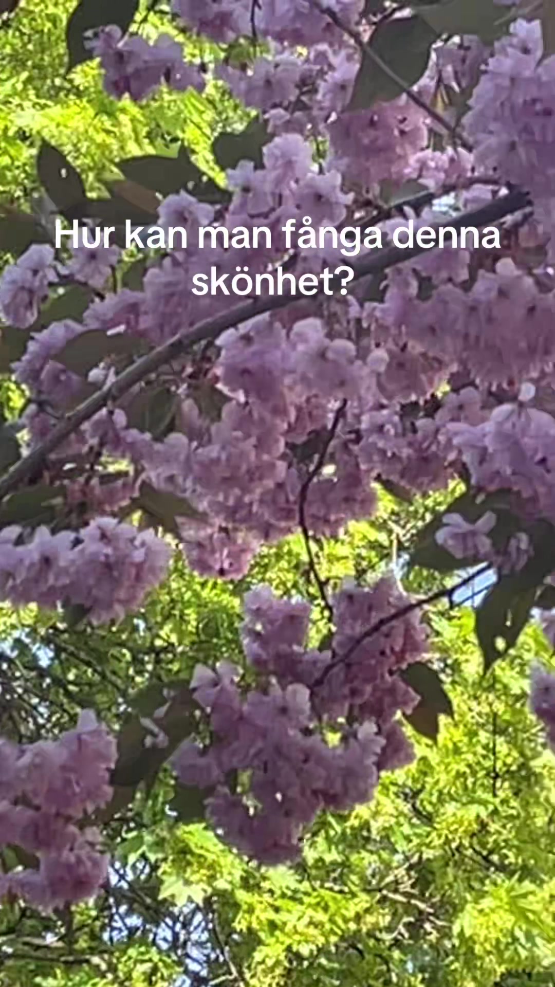 @Irinka