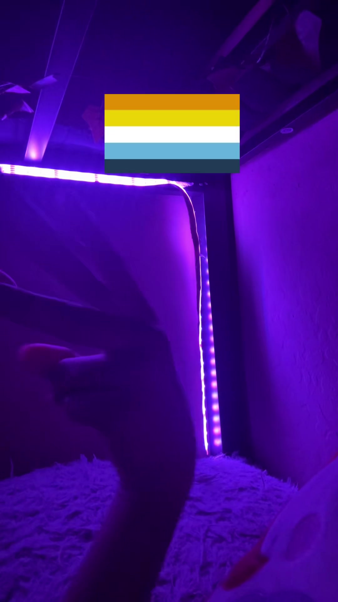 @⭒٠˟ ː. 소녀여요나나 .⁎⁺ ˳:
