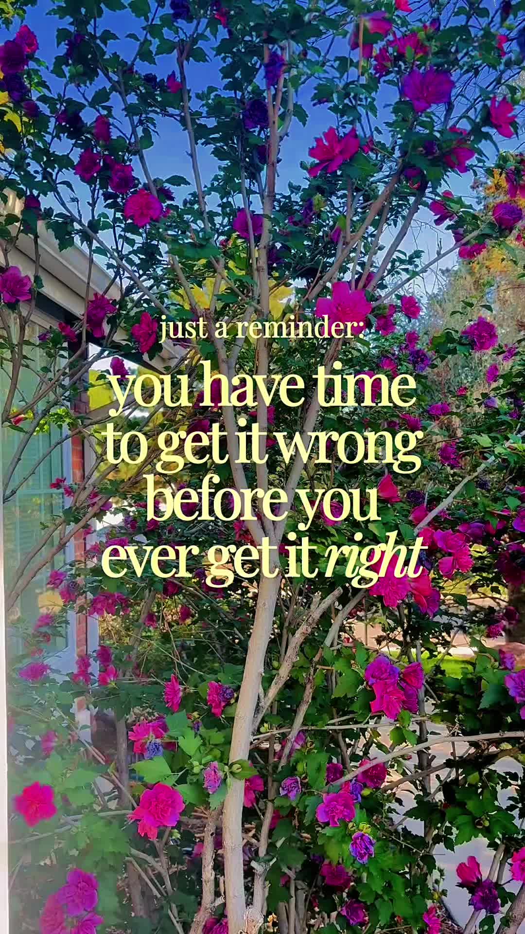 @Andrea Oatman💫