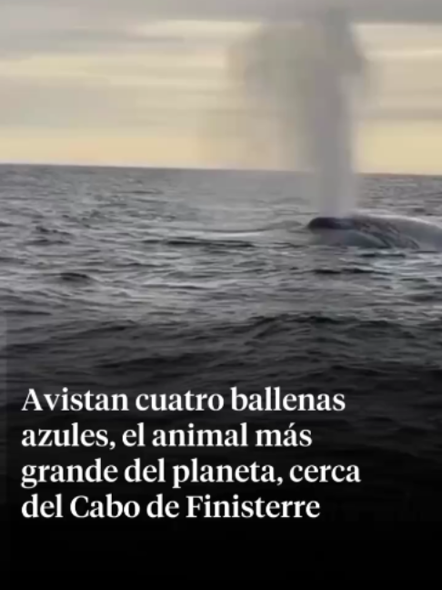 @La Vanguardia 🗞