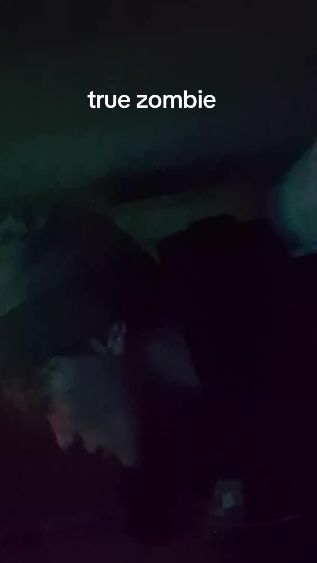 @ghostez32