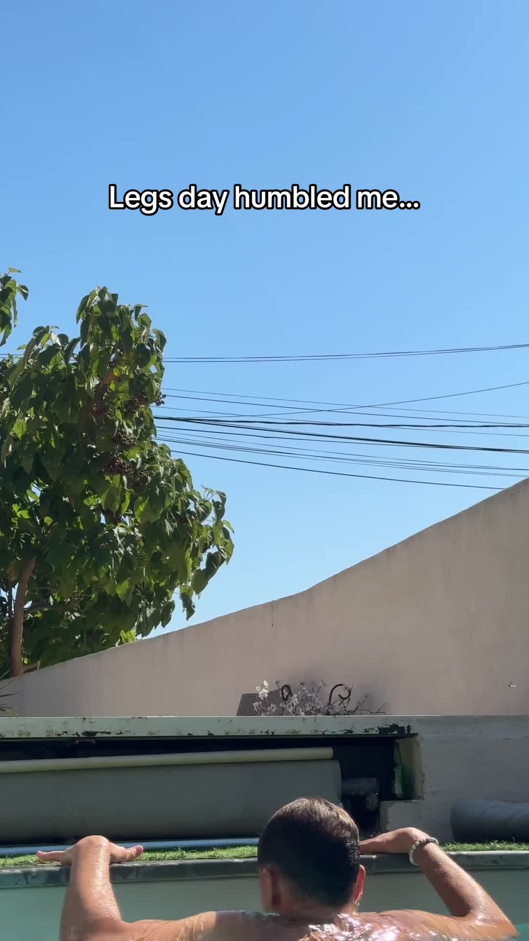 @RemanVeg