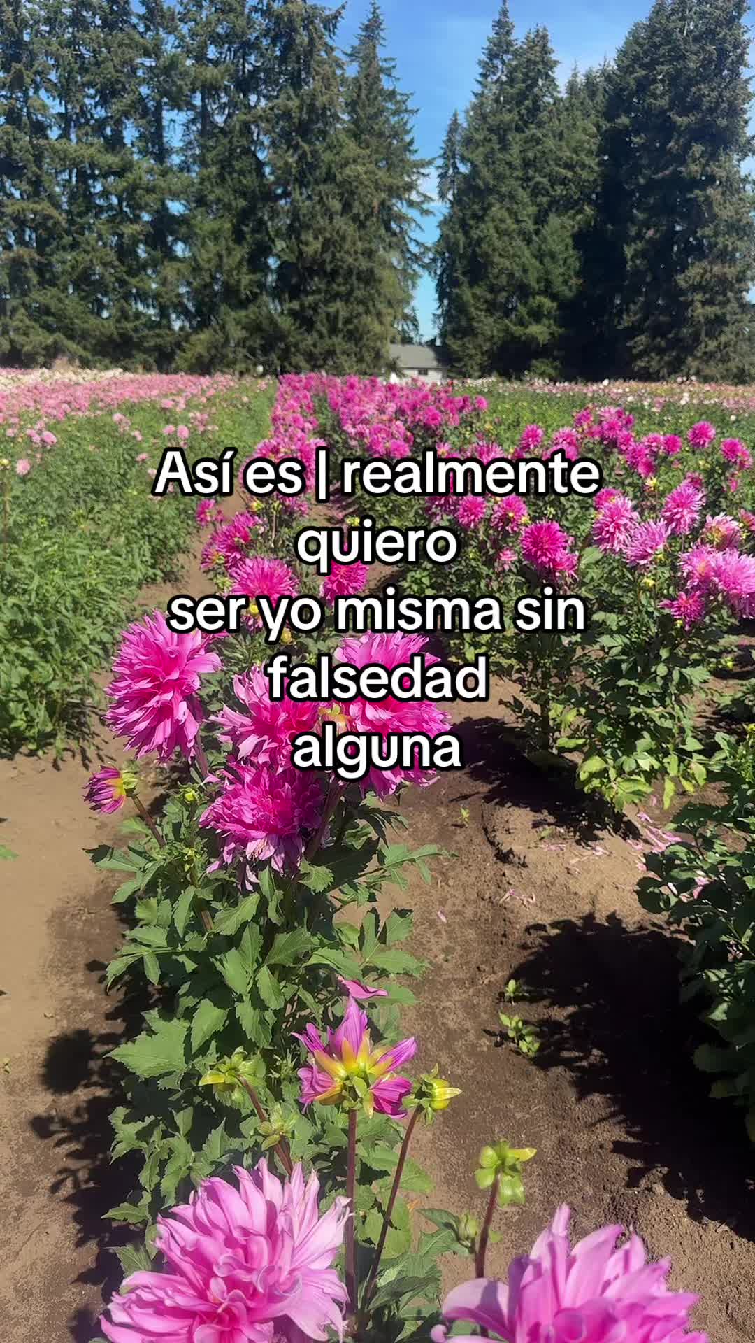 @⚜️🍓🪗pablocarbajal63🪗🍓⚜️