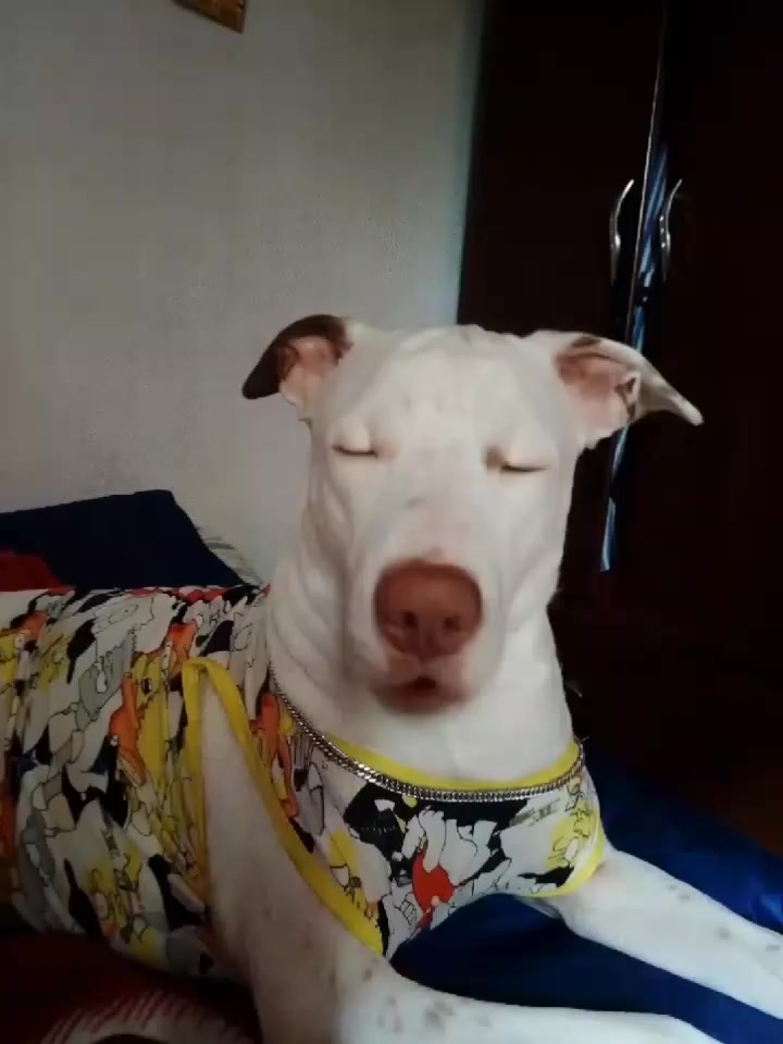 @Solecito