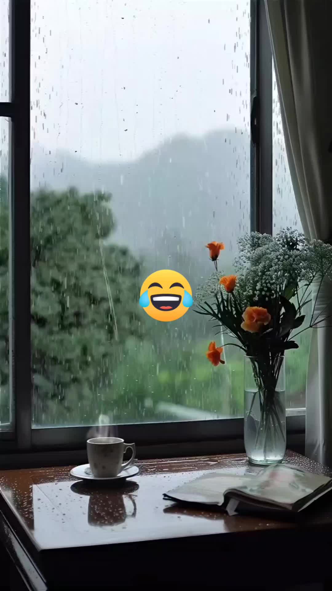 @nedoucha