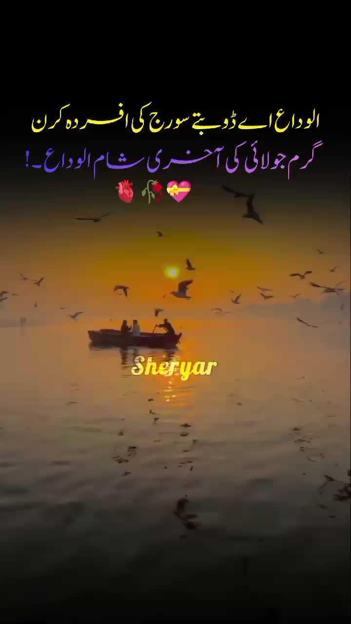 @sheryar