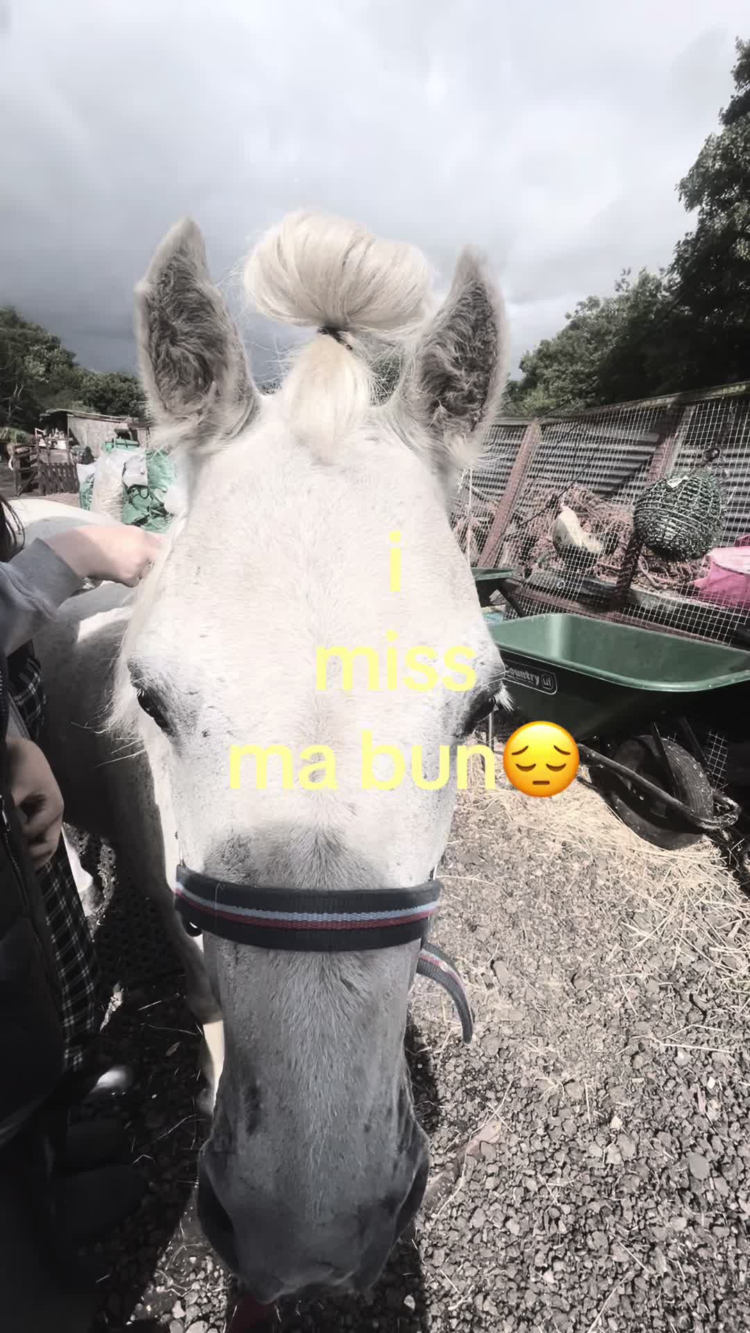 @lilys.riding🎀🐴