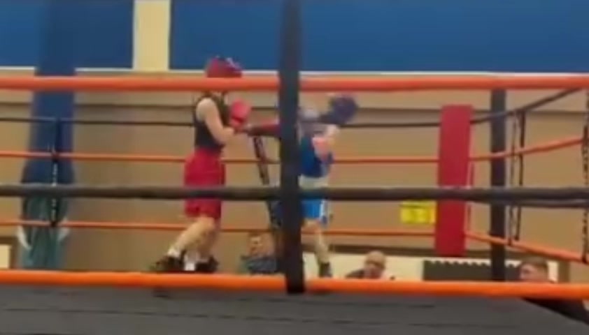 @boxingedits414