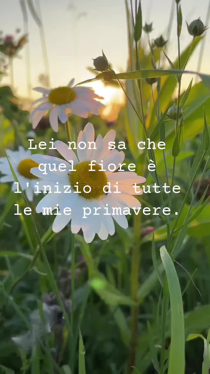 @Gianni