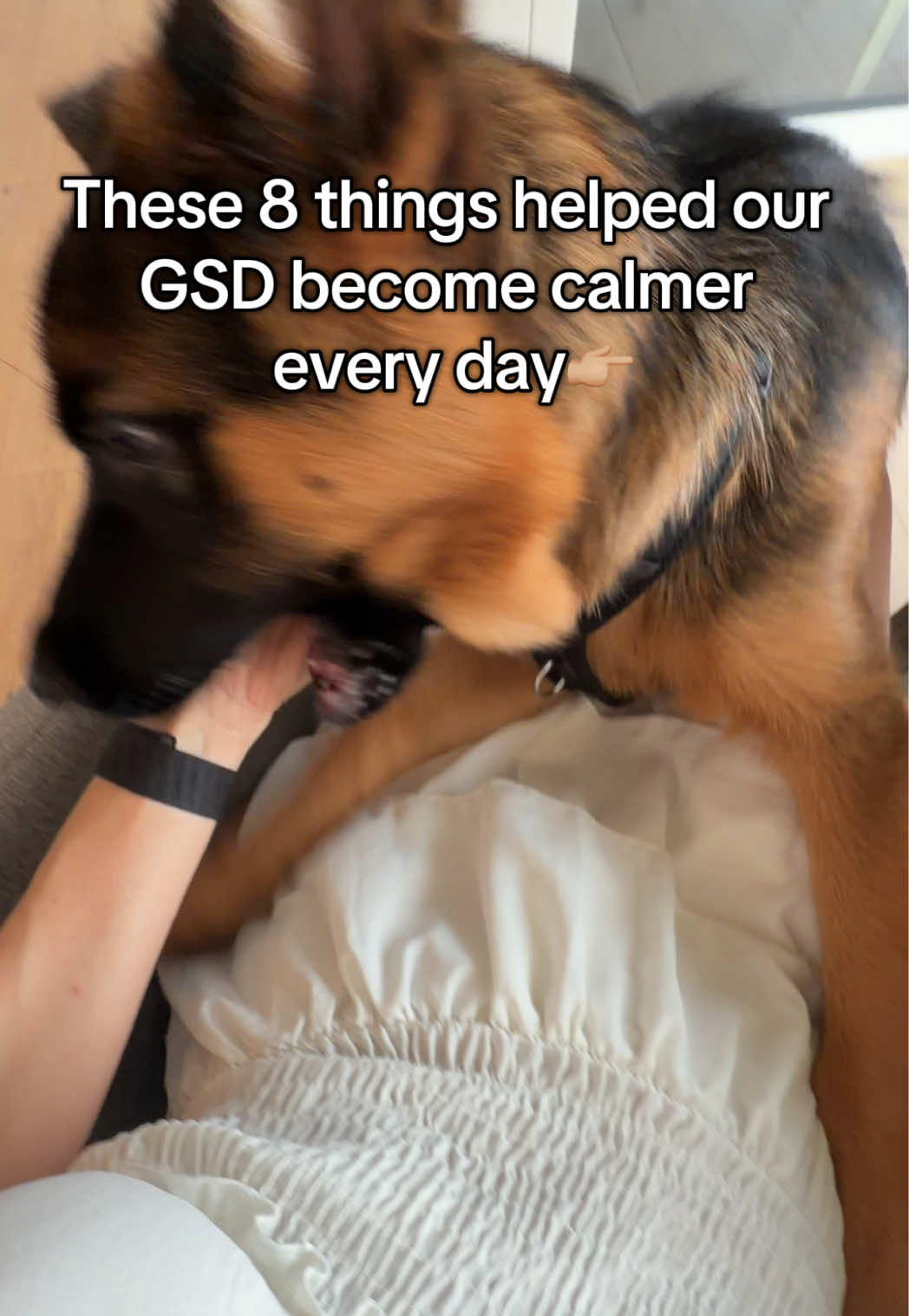 @gsd.kuba