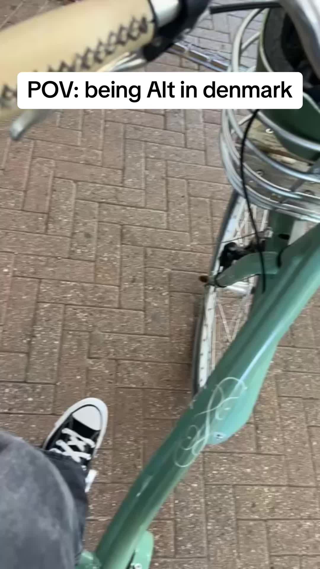 @~•✨🪲💜🌕✨•~