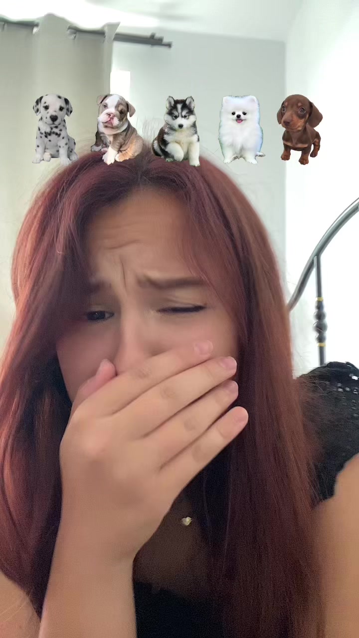 @happy_petsitterka