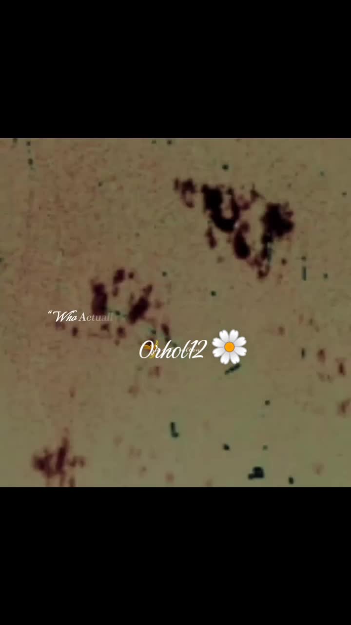 @ORHOL.12
