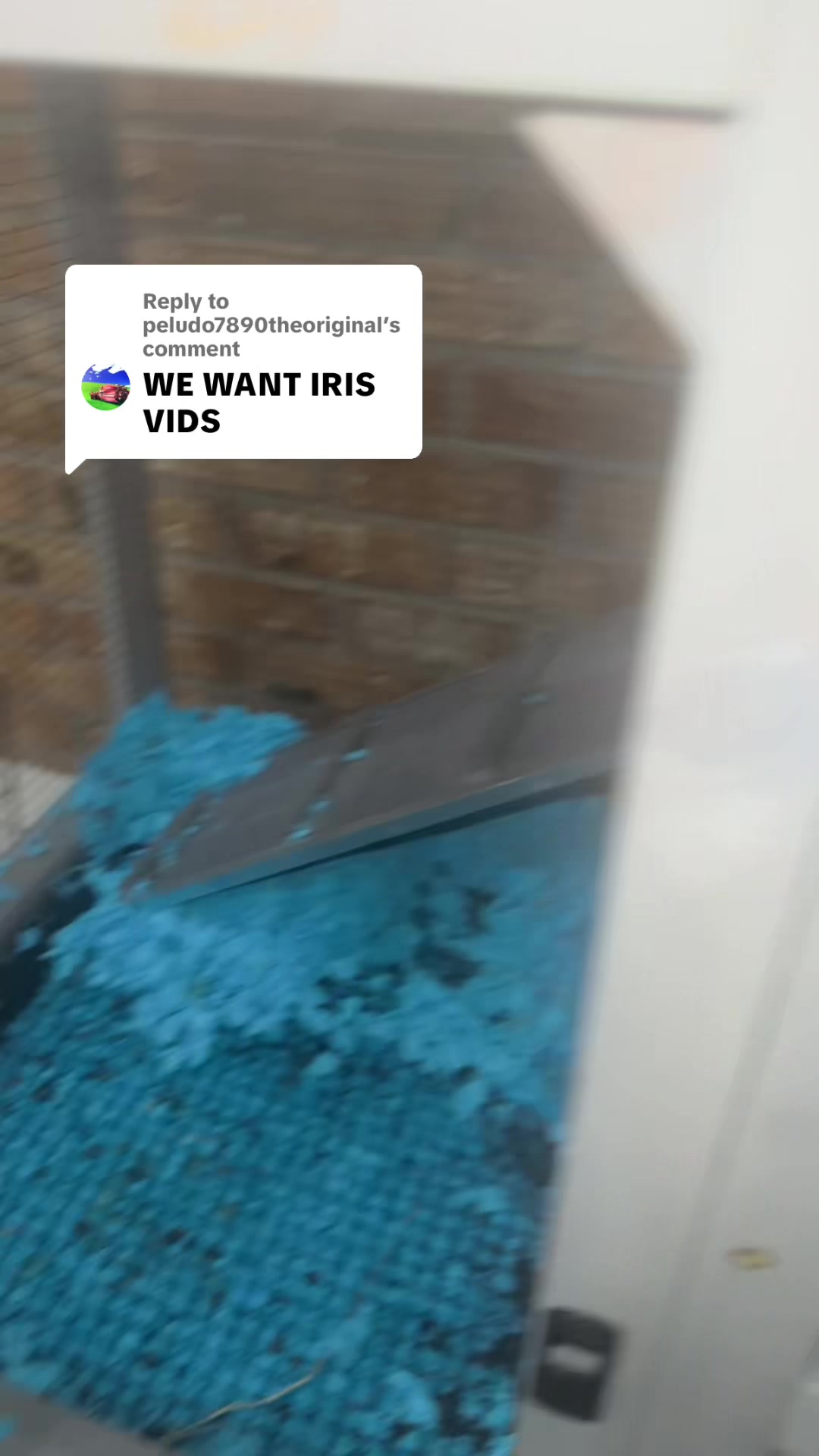@𝘔𝘰𝘯𝘴𝘵𝘦𝘳
