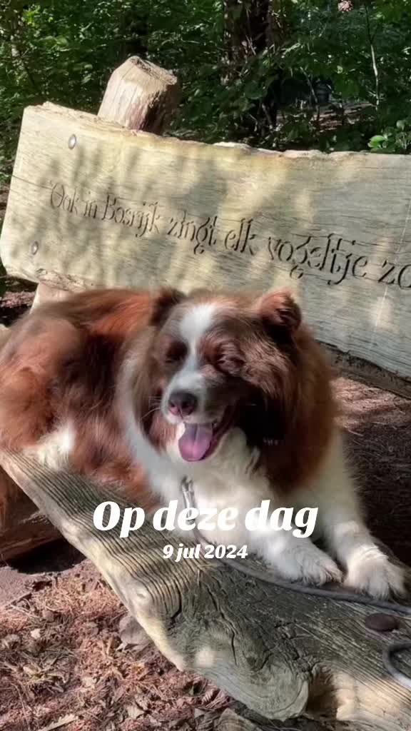 @Veveke 🇧🇪