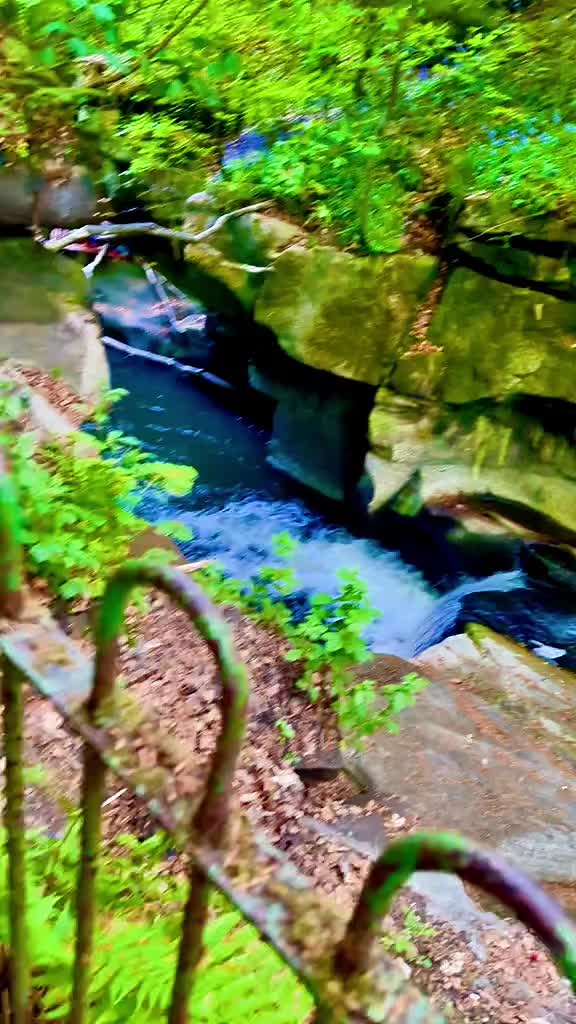 @Nature lover