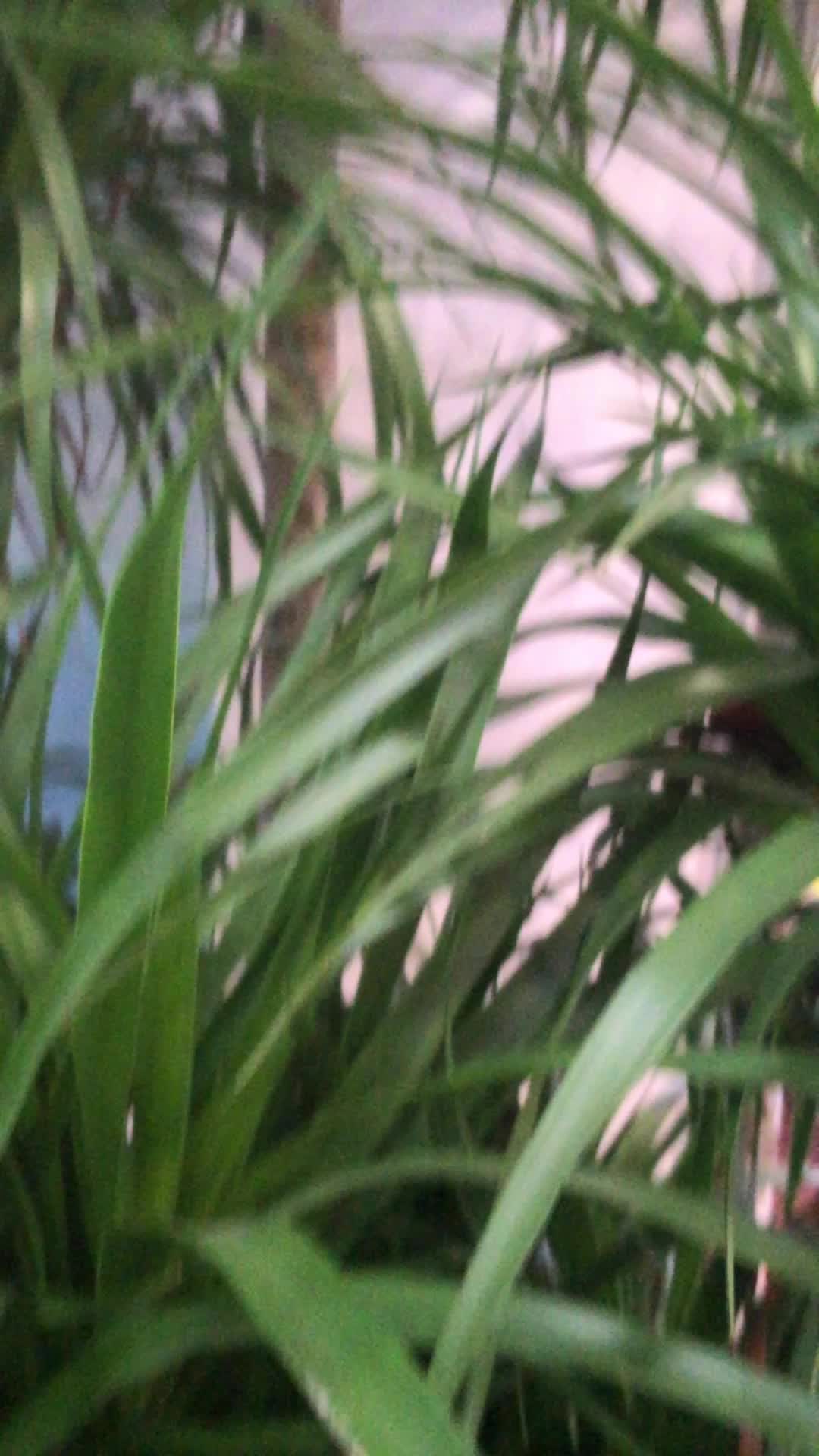 @jqbp6kjid7