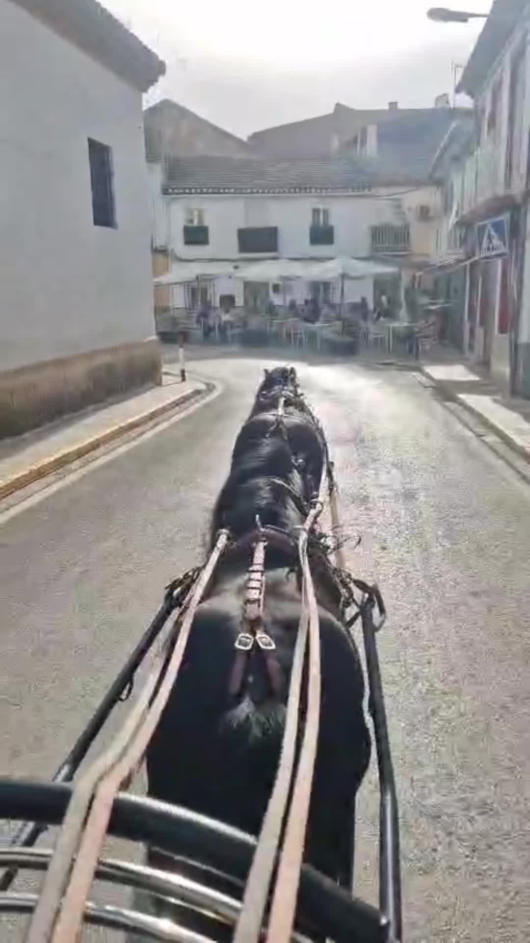 @eltorerillo0