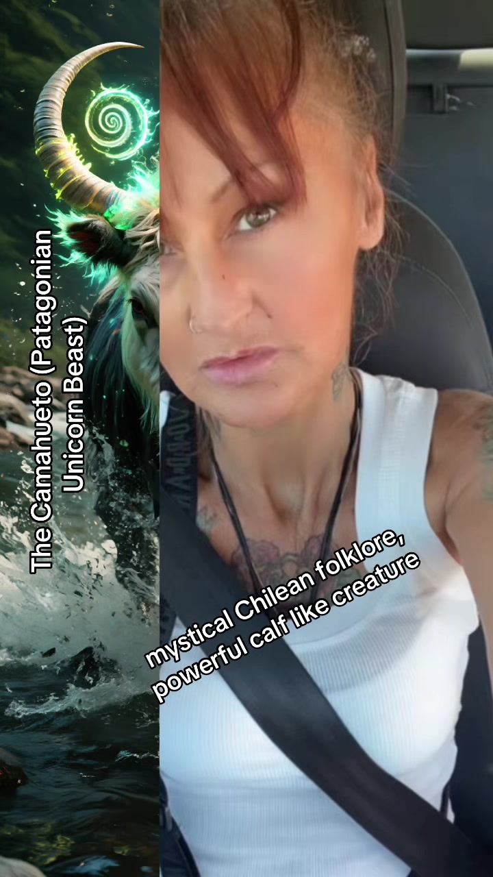 @kerryandrocky🦜