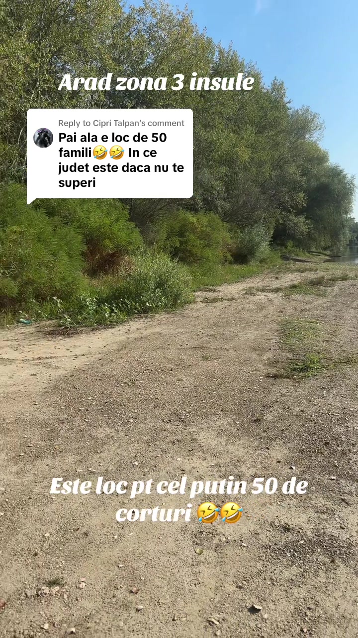 @Teo Somnea