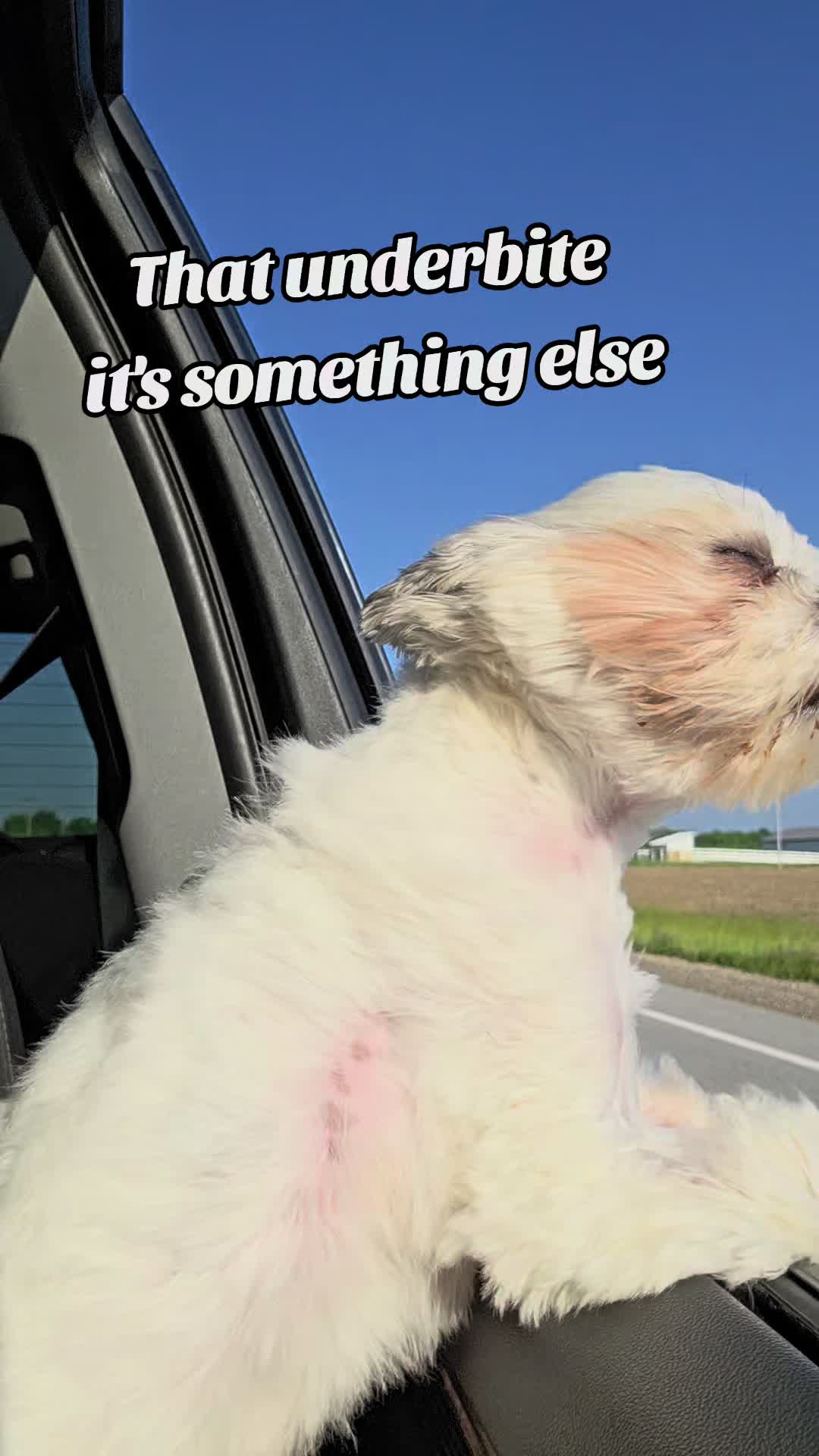 @Kara