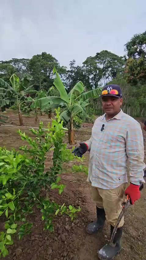 @C&iacute;tricos Ramirez 🍋