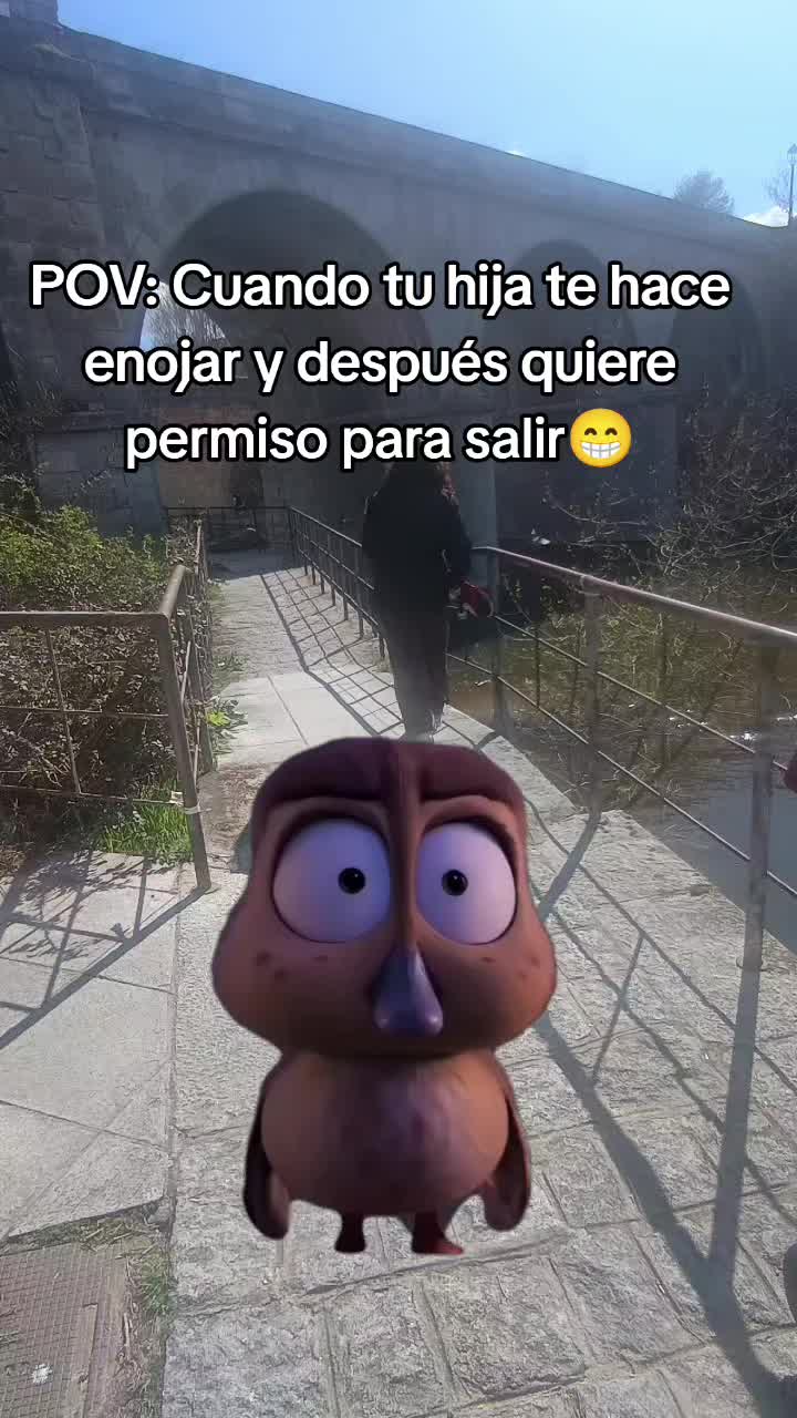 @Any Z🍀