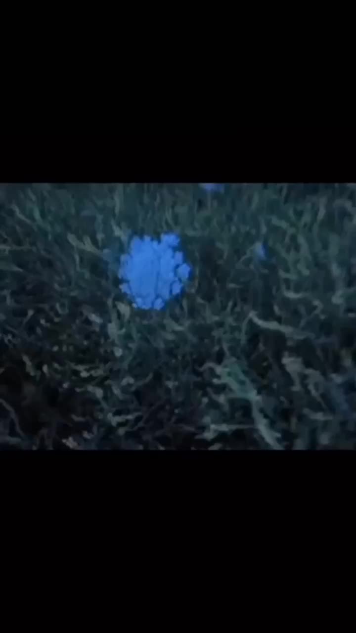 @kar1n bessmertnih🌊
