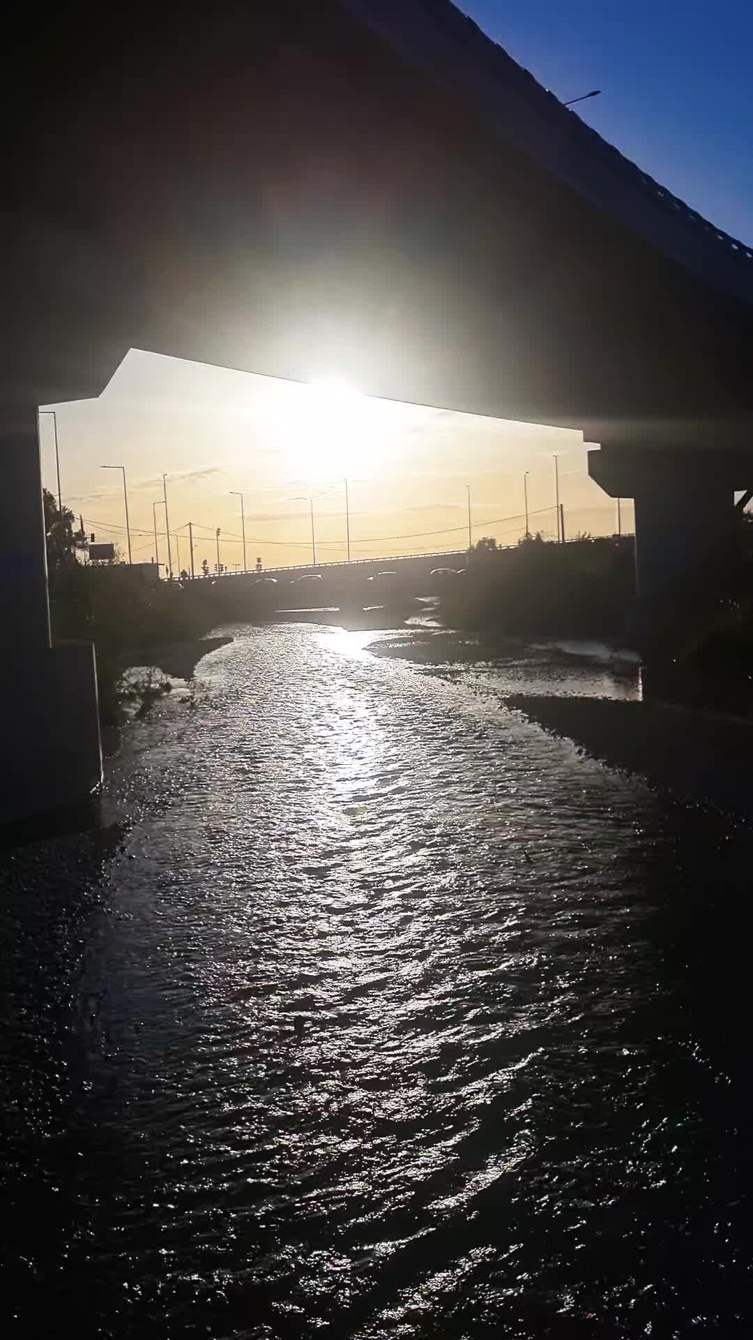 @𝑬𝒍𝒆𝒏𝒊 🎶🩷