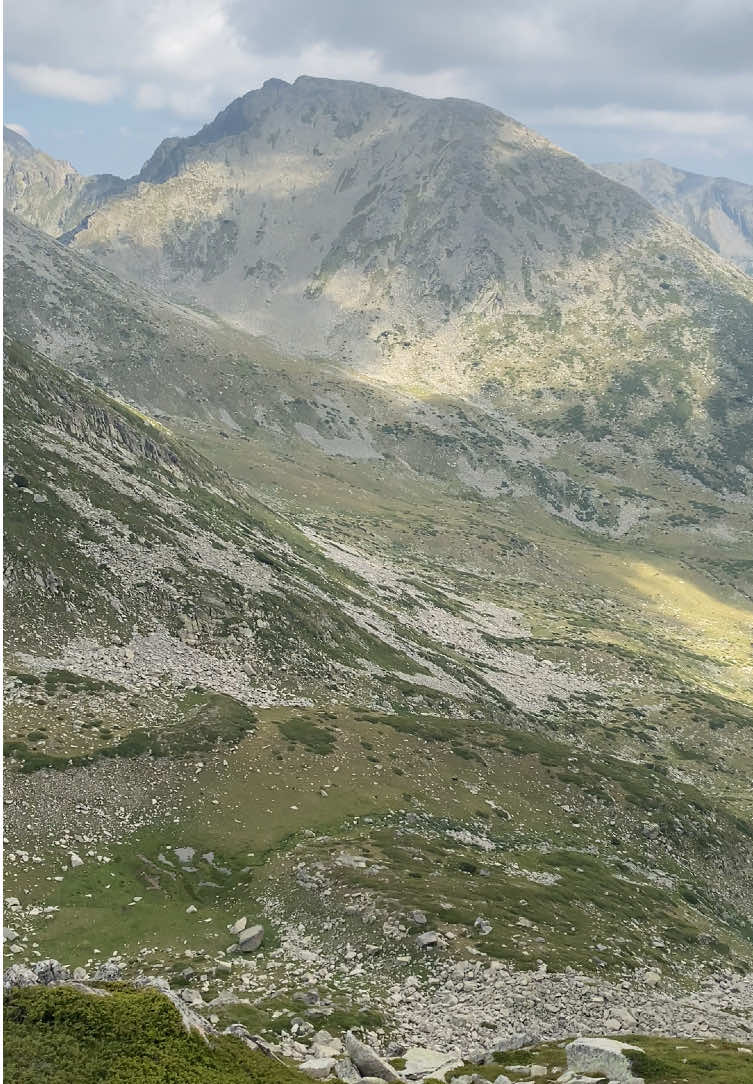 @Pirin