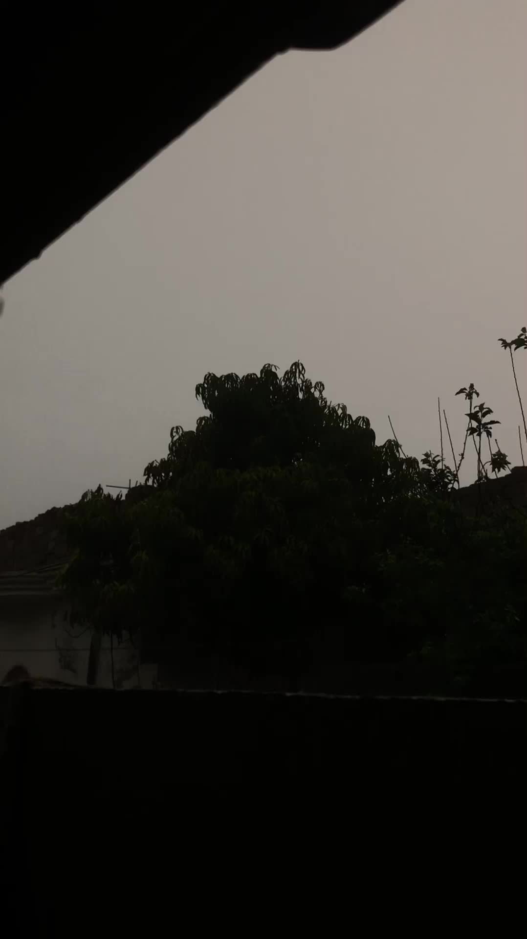 @ع۔و🦋🫀