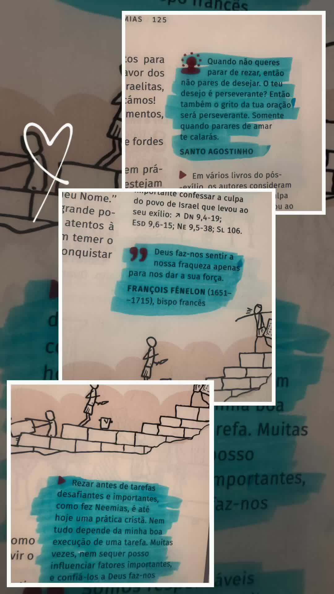 @Sofia Inácio