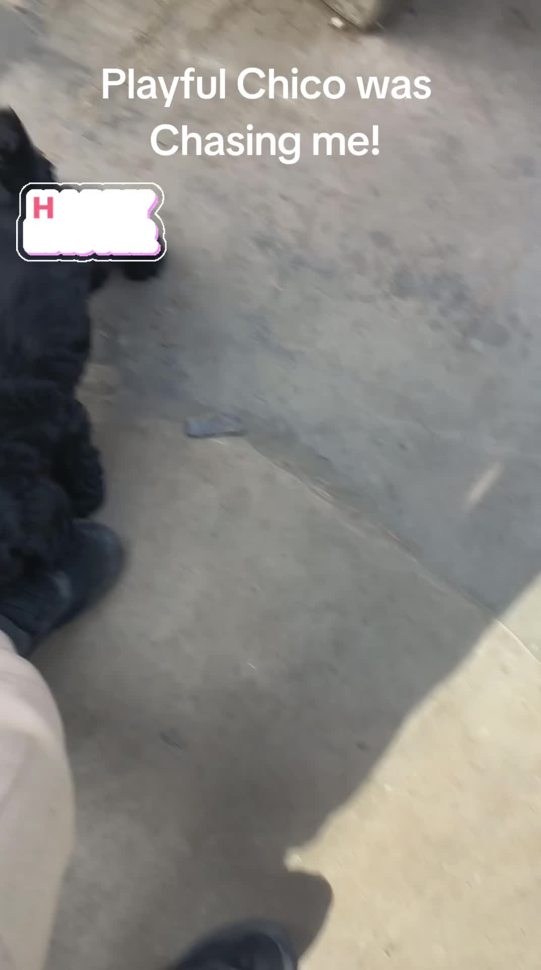 @mirko