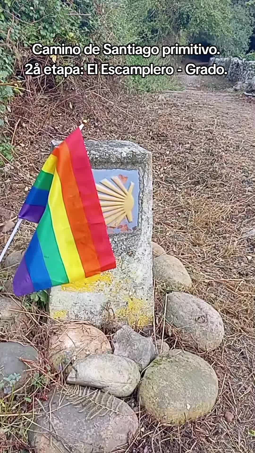 @CAMINOQ+