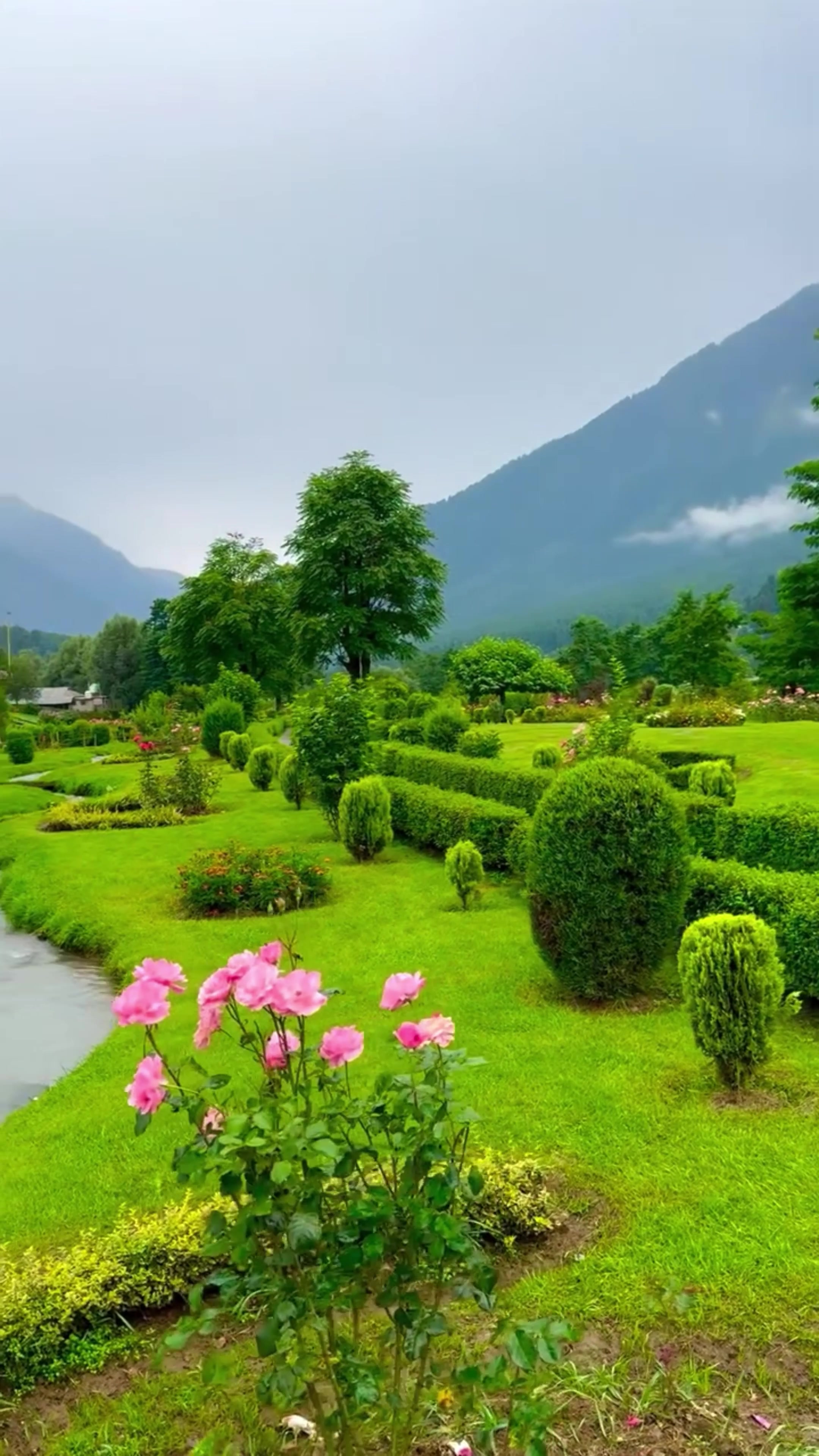 @World 🌍 beauty