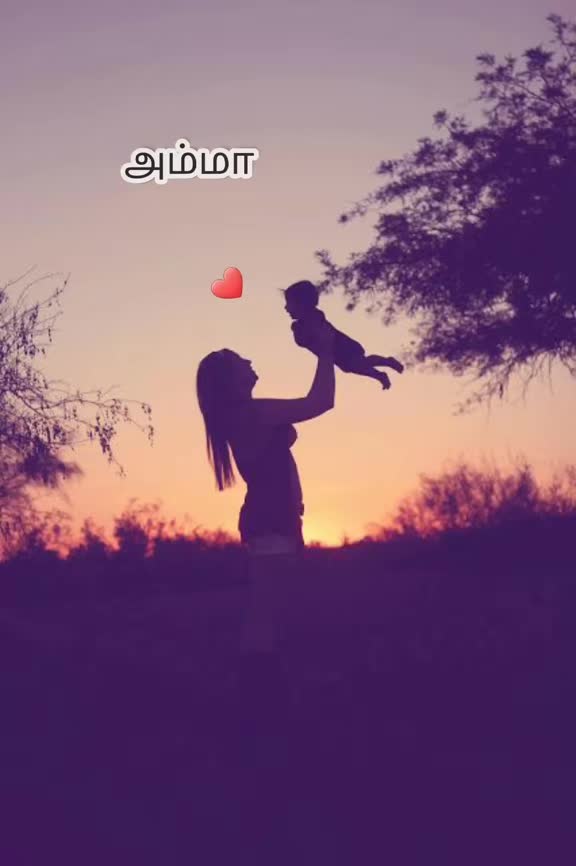 @Pirai🌙