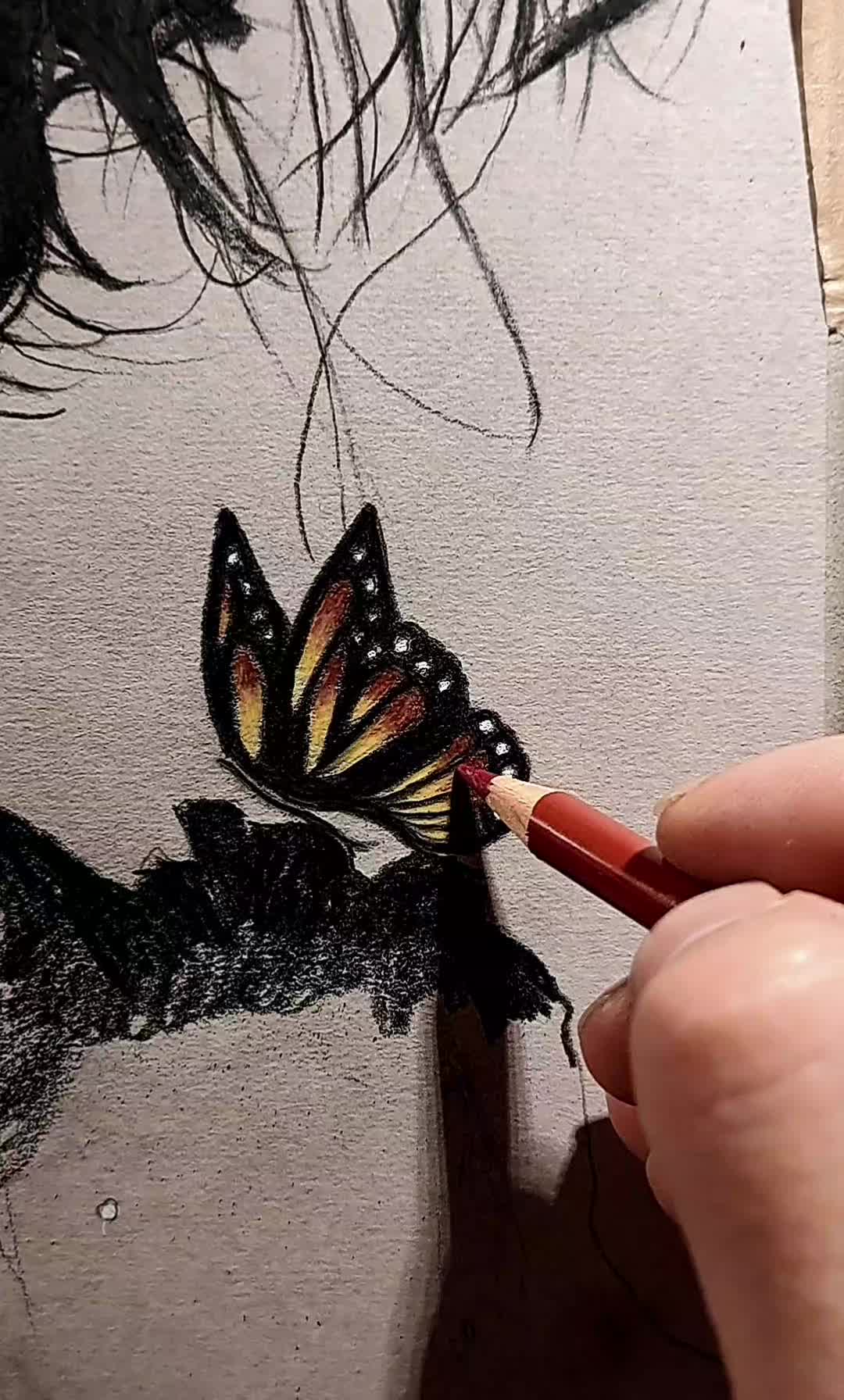 @David Aguilerart