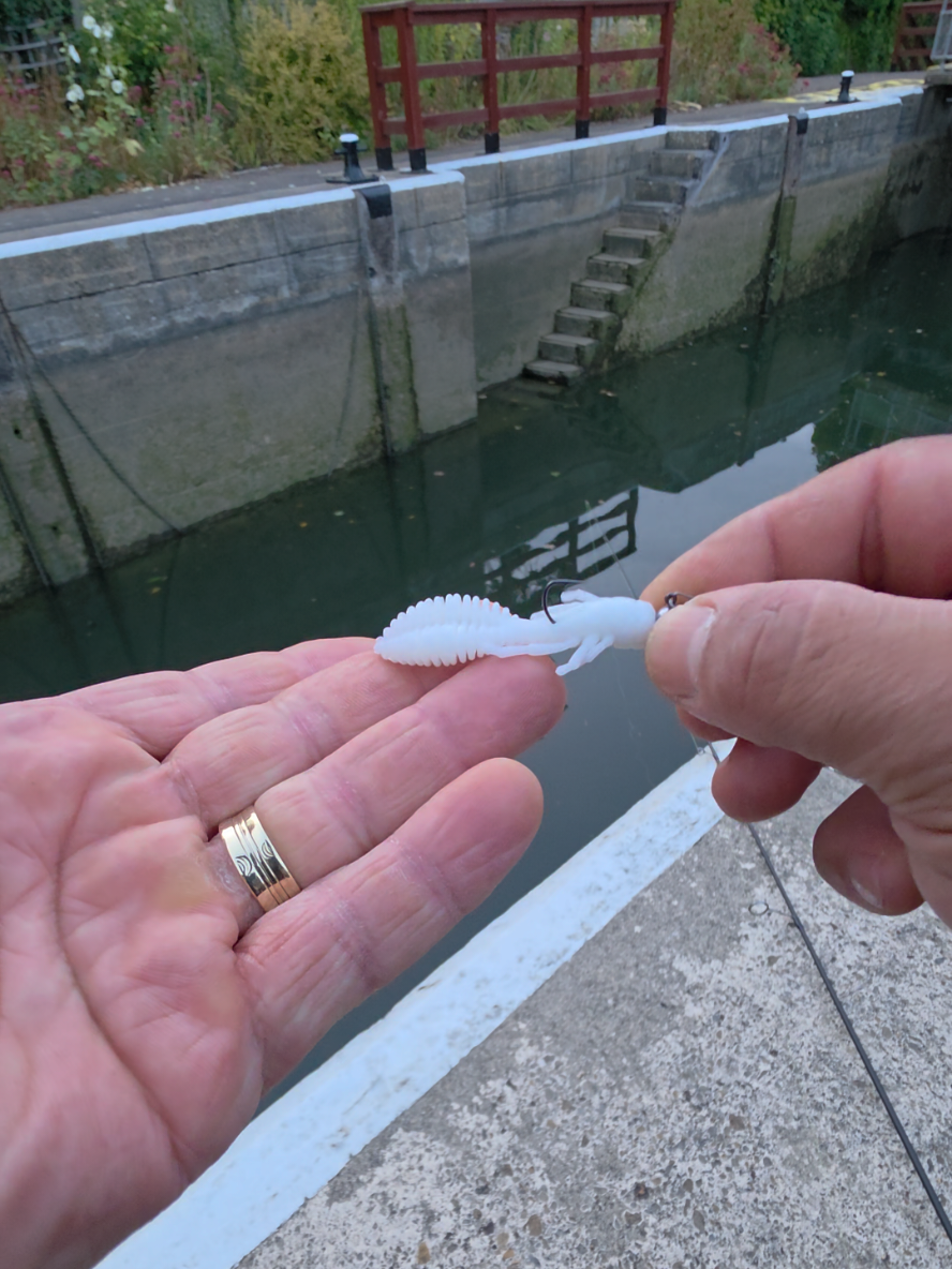 @BF Angler